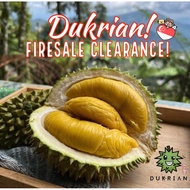 (Dukrian!) Pahang Blackgold MSW Durian Clearance Special Price!! Blackgold MSW Musang King MaoShanWa