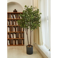 Simulation Green Plant Eucalyptus Real Tree Pole Floor Potted Plant Decoration Indoor Living Room De