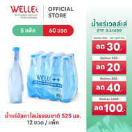 New (60 ขวด) Welle Alkaline Mineral Water น้ำแร่เวลล์เล่ 525 มิลลิลิตร 5 แพค จากแหล่งน้ำแร่ระนอง