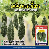 เมล็ดมะระขี้นก Native Bitter Gourd  เมล็ดพันธุ์มะระขี้นก มะระขี้นก เมล็ดพันธุ์ผัก เมล็ดผักสวนครัว ตราภูเขาทอง