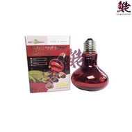 REPTI ZOO - REPTIZOO 紅外線加熱燈 100W＃R80100