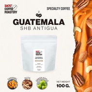 UCC Roastery - GUATEMALA SHB ANTIGUA (Coffee bean) เมล็ดกาแฟคั่วอ่อนค่อนกลาง 100g.