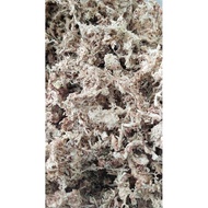 Chile Spagnum moss high quality/orchid moss/planting moss 100gram