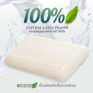 Darling Mattress ที่นอนดาร์ลิ่ง หมอนหนุนยางพารา 100% NATURAL LATEX PILLOW