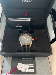 Tudor  帝舵79250BA 銅錶