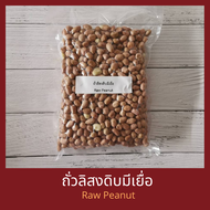 ถั่วลิสง มีเยื่อ แบบดิบ บรรจุ 500 กรัม Raw Peanuts 500 g