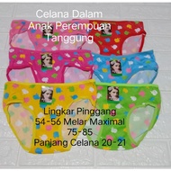Girls' Panties (274)(Apple) Women's CD All SIZE