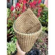 Cone POT 30cm