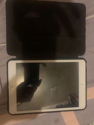 iPad mini 2 4G.  16gb