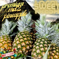 SUPER SWEET MD2 PINEAPPLE
