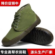 High-Top Shoes Free Shoes Labor Protection Shoes Low-Top Free Shoes Military Training Shoes Outdoor 