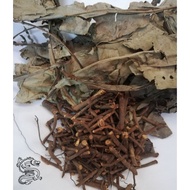 Daun Kacip Fatimah - 80gram Batang Kacip Fatimah + 20gram Daun Kacip Fatimah