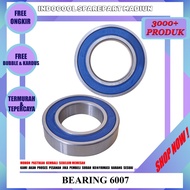 6007 BEARING SPARE PARTS BEARING LAHER/ 6007