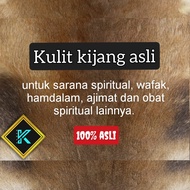 kulit kijang asli untuk sarana spiritual samak rajah wafak dlln