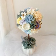 永生花球樹 / 開幕禮 新居禮 居家佈置 店面裝飾