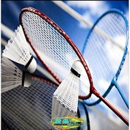 Tension 28lbs BADMINTON Racket Installed Free Strings Bag And GRIP