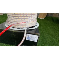 LED DÂY 24V IP68 LẮP ÂM HỒ NƯỚC HỒ CÁ LED DÂY DÁN 2835-120 LED/1M ĐIỆN 24V NGOÀI TRỜI CHỐNG NƯỚC T