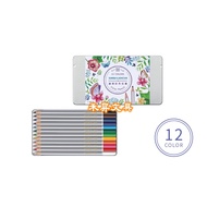 Male Lion Color Pencil, C 1200/8 (12 Colors), 2400/8 (24 3600/8 (36 Colors)