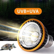 Professional 3W UVA + UVB 5.0 Reptile Lamp LED Bulb Basking Heat Sunlight UVB Bulb