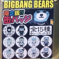 🆕日本 週邊 扭蛋 大阪 限定版 YG Big Bang Bear BIGBANG BEARS V.I 勝利 李昇炫 Lee Seung-Hyun Seung-Ri 熊貓 RIRI 襟章 扣針