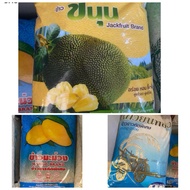 BERAS CAP BASIKAL/PAUH/NANGKA 5KG