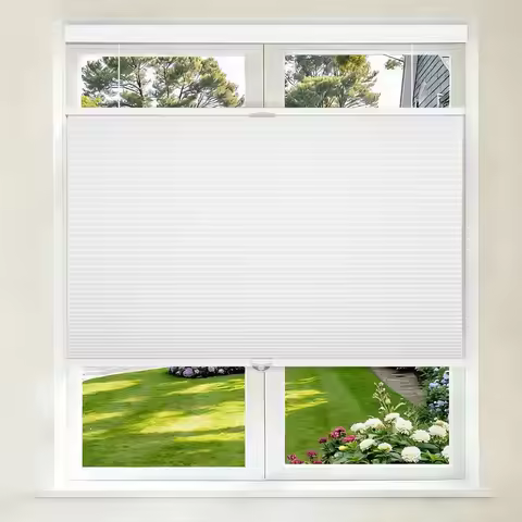 Top Down Bottom Up Cellular Shades Cordless, 34 Wx64 H, Pull Down Honeycomb Blinds for Windows Room 