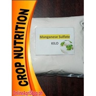 【2023】 MANGANESE SULPHATE / SULFATE (KILO) FOR HYDROPONICS