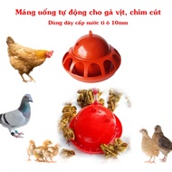 Combo of 5 automatic drinking troughs for chickens, ducks and birds when brooding