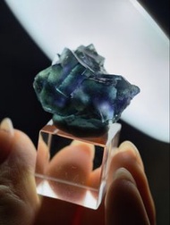 內蒙古銀都幻影 油畫感綠螢石 Phantom Fluorite from Inner Mongolia