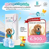 Geneus Pet | Dog DNA Test Breed Health Talent Habits Allergies Nutrition Food 1 Box