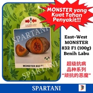 Benih Labu Madu Manis Raksasa Hybrid / Labu Monster / Sweet Pumpkin Seeds / 南瓜种子/ East-West Monster 832 F1 (100g)