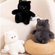 Big Belly Cat Teddy Bear, Adorable Big Belly Cat Vip Teddy Bear, Cute Fat White Cat Stuffed Animal