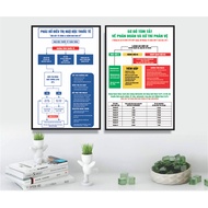 Medical painting 2 paintings (size 40x60/picture) combo of 2 paintings