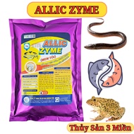 ALLIC ZYME - Garlic Yeast. Aquaculture Medicine