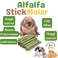 Alfalfa Molar Stick Alfalfa Hay  Makanan Arnab Dedak Arnab Molar Grass Stick Suitable For Guinea Pig Rabbit Hamster 1pc