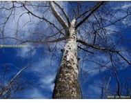 UV (Haze) 1A Multicoated | Multithreaded Glass Filter (72mm) For Tamron SP AF 17-50mm f/2.8 XR Di-II