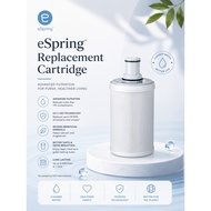 *INDONESIA AMWAY* eSpring Cartridge