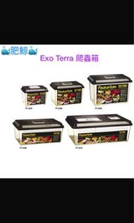 Exo-Terra 爬蟲箱