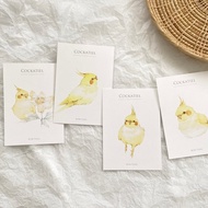 黃化玄鳳鸚鵡 明信片 58