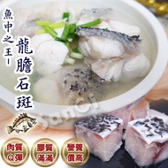 【賣魚的家】新鮮龍膽石斑魚塊 (300g±5%/包)共8包組免運組