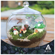 โหลแก้วสวยๆ พร้อมส่งจากไทย Terrarium โหลกลม+ฝา ทำสวนขวด สวนจิ๋ว DIY อุปกรณ์ตกแต่งสวน