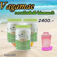 เข้าร่วมโปรแกรมส่งฟรี VEGAMAE ️Hot โปรตีนถั่วลันเตาสีทอง ตรา เวกาเม่ 3 แถม แก้วเชค โปรตีนพืชหอมอร่อย