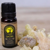 The Frankincense Store Boswellia Frankincense Essential Oil Sacra 5ml