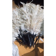 Drumband Hat Feather