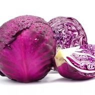 Purple round cabbage seeds 300pcs Fr SG