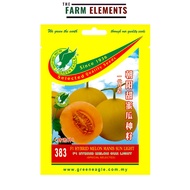 GE 383 F1 Hybrid Melon Sun Light/ F1 Hibrid Melon Manis Sun Light (8 Seeds)