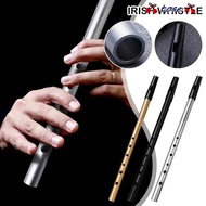 TOSE Aluminum Tin Whistle, Easy-to-learn Rich Tone Irish Whistle Flute, Portable C/D Key 6 Holes Iri