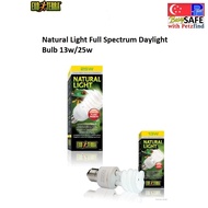 Exo Terra Natural Light Full Spectrum Daylight Bulb 13w/25w