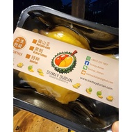 freezing D197 raub musang king