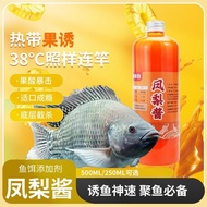 Luofei Pineapple Sauce Raw Pulp Fishing Luofei Fish Small Taiwan Wild Fishing Black Pit Luofei Speci